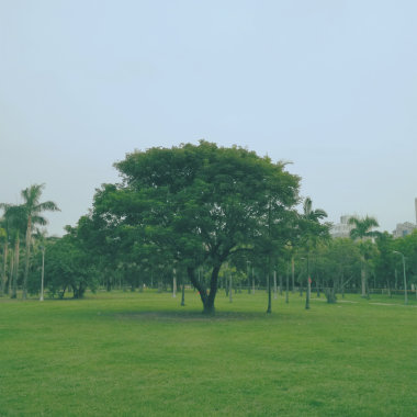 10.《狂想曲》  
