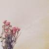 自私的花朵 (Demo)