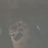 Demo19