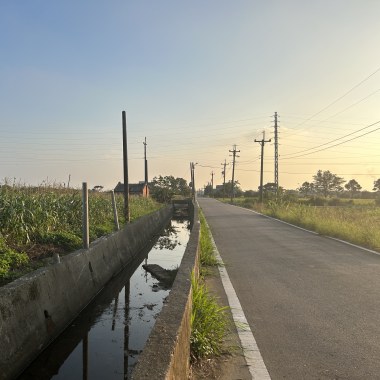 ［5］24°59'30.5"N，121°03'25.6"E（灌溉渠）