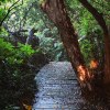 不想上班