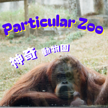 Particular Zoo 神奇動物園 (Demo)