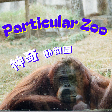 Particular Zoo 神奇動物園 (Demo)