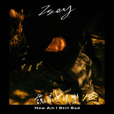說不上快樂(How Am I Still Sad)