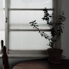 菸癮 cover