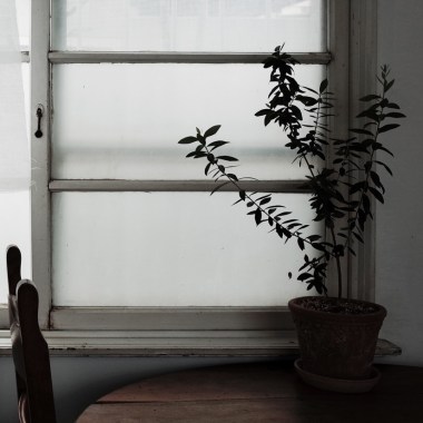 菸癮 cover