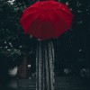 Shelter 隱密處 @Sirius.ivy