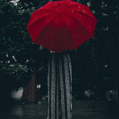 Shelter 隱密處 @Sirius.ivy