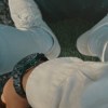 Put Down cover