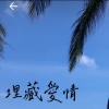 埋葬愛情