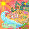 SexOnTheBeach - K.C 1999 x Ninja x whyX于修