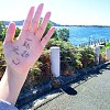 奧克蘭的 ( Amy )