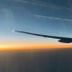 我都在