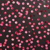 诚与谎 demo