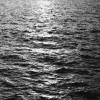 tide