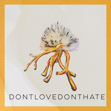 I Don't Love You