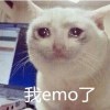 Mo了個大E