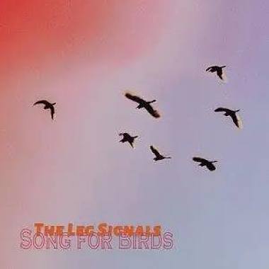 Song For Birds