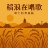 稻浪在唱歌