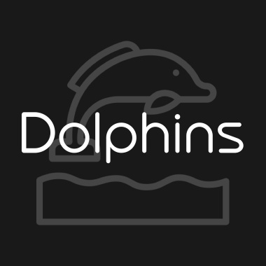 Dolphins Remix