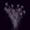 withered flowers