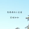 想要飛的小豆苗