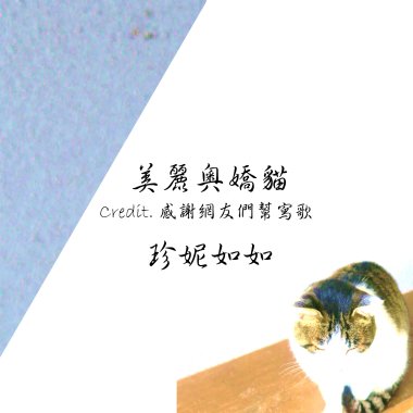 美麗奧嬌貓