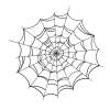Part 1:Spider