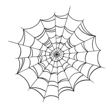 Part 1:Spider