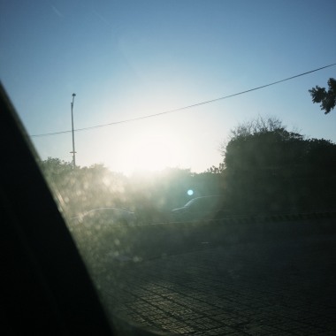 向光生長demmmmmo