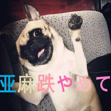 雅蠛蝶 やめて亚麻跌不想要