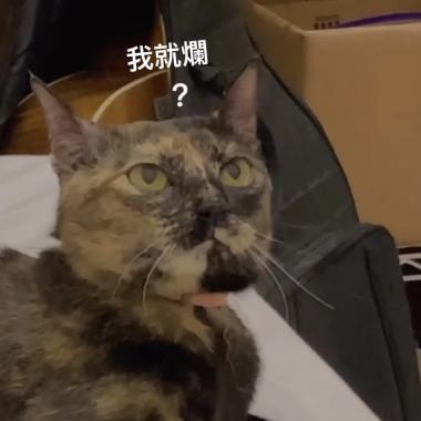 該怎麼留下你