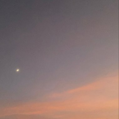 他