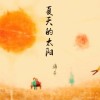 夏天的太阳（发行版本）