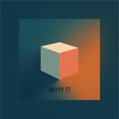 WHY!?