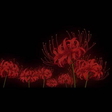 次等公民-52hz