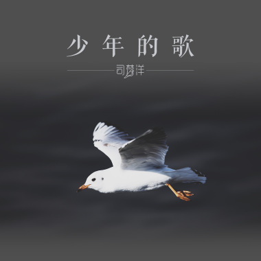 少年的歌 
