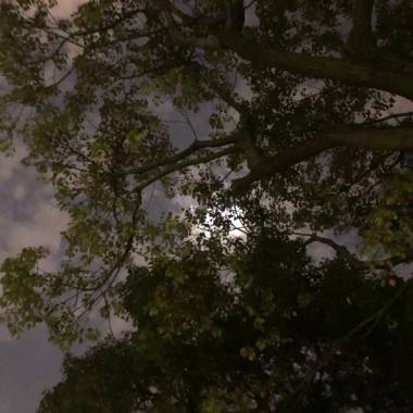 写给20岁的歌