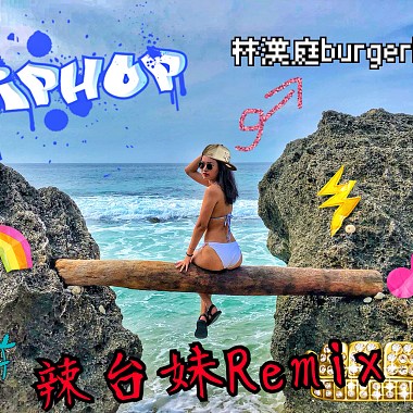 林漢庭burgerlin-辣台妹remix