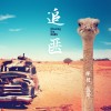 追匪