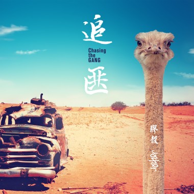 追匪