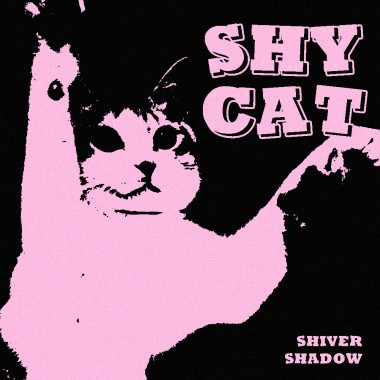 Shy Cat
