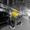 【變化】