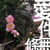 Unconditional Love Demo
