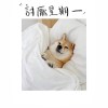 討厭星期一