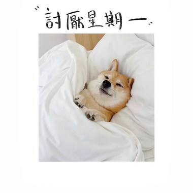 討厭星期一