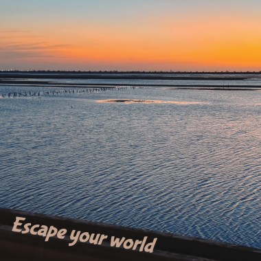 Escape Your World