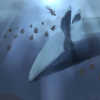 Whale Fall鯨落