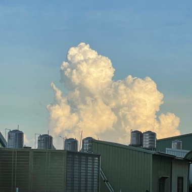 招潮蟹
