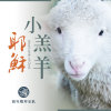 小羔羊耶稣